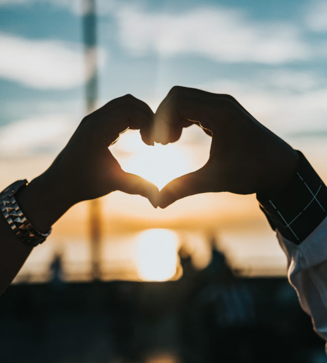 大红鹰dhy(中国)有限公司官网