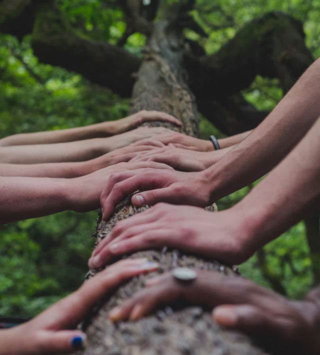 大红鹰dhy(中国)有限公司官网