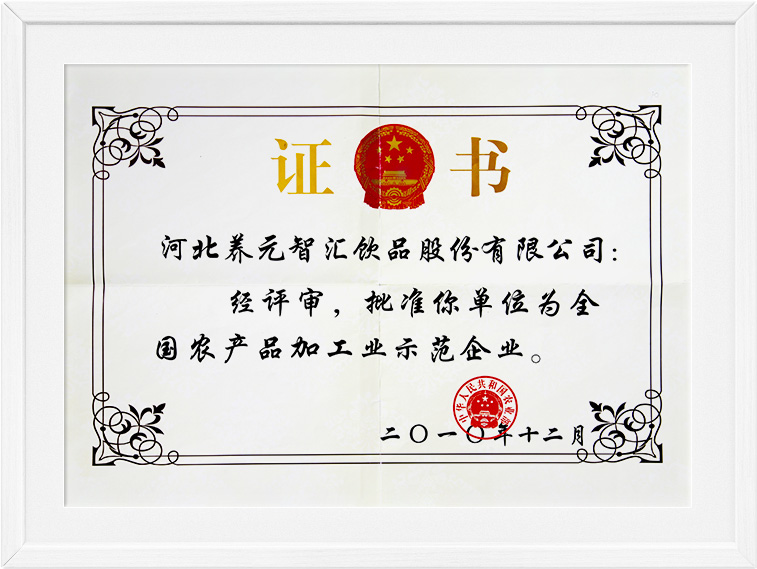 大红鹰dhy(中国)有限公司官网