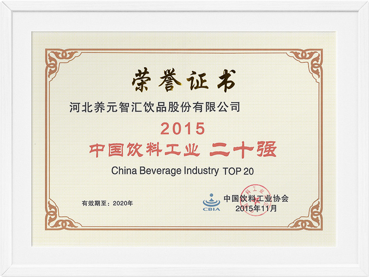 大红鹰dhy(中国)有限公司官网