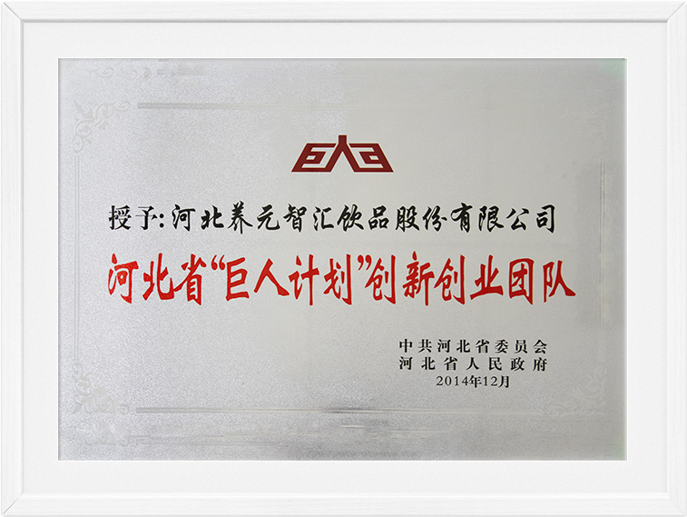 大红鹰dhy(中国)有限公司官网