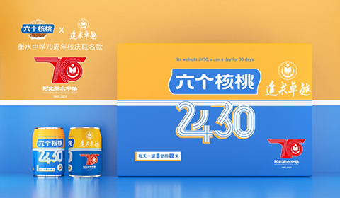 大红鹰dhy(中国)有限公司官网