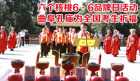 大红鹰dhy(中国)有限公司官网