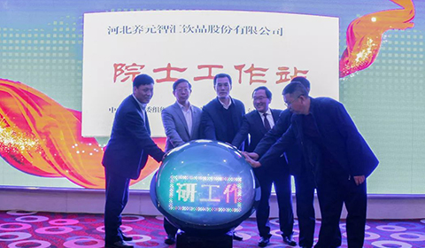 大红鹰dhy(中国)有限公司官网