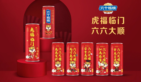 大红鹰dhy(中国)有限公司官网