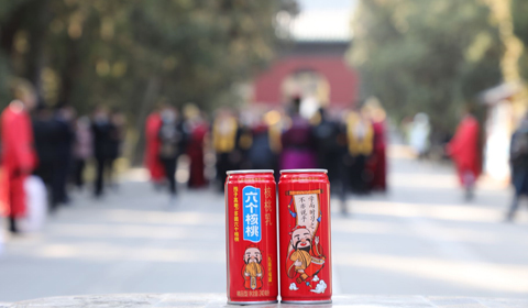 大红鹰dhy(中国)有限公司官网