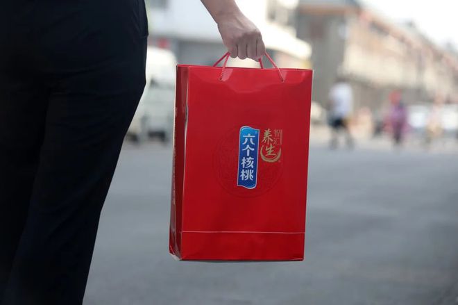 大红鹰dhy(中国)有限公司官网