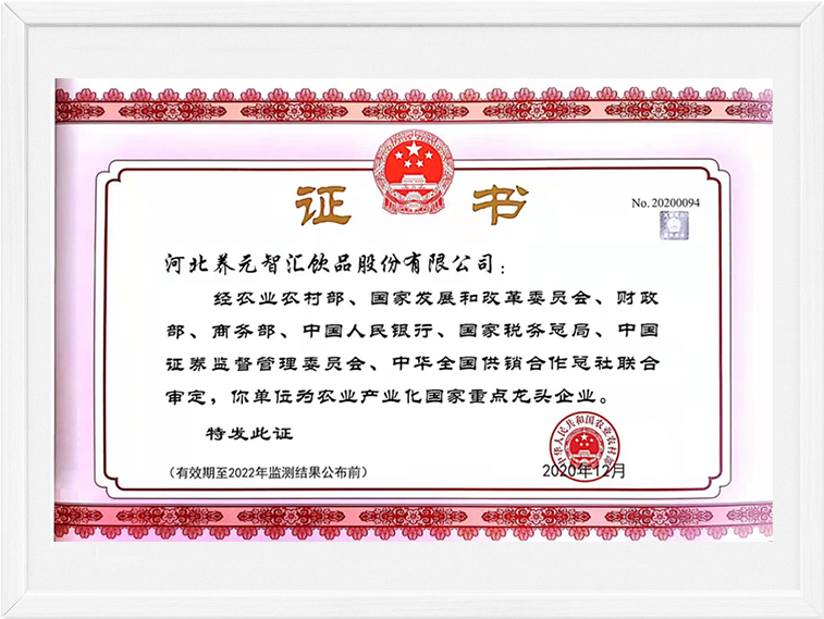 大红鹰dhy(中国)有限公司官网