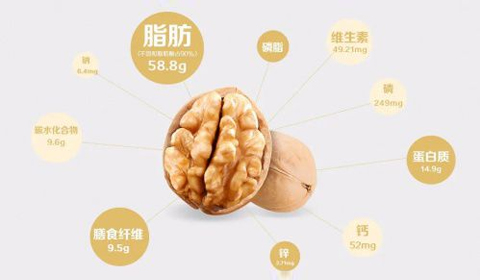 大红鹰dhy(中国)有限公司官网