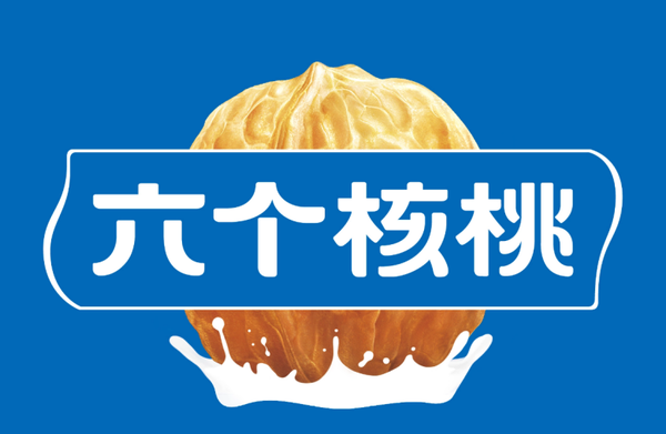 大红鹰dhy(中国)有限公司官网