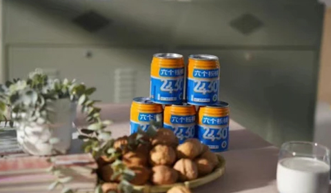 大红鹰dhy(中国)有限公司官网