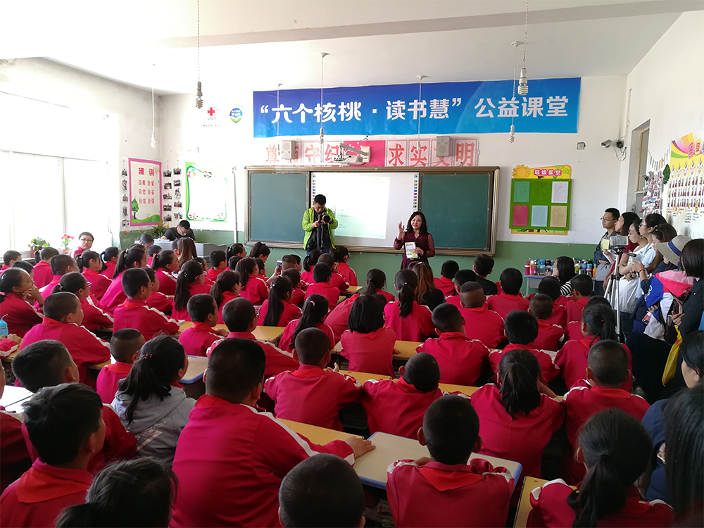 大红鹰dhy(中国)有限公司官网