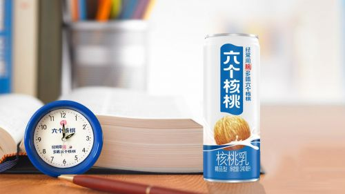 大红鹰dhy(中国)有限公司官网