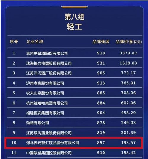 大红鹰dhy(中国)有限公司官网