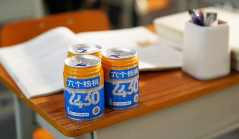 大红鹰dhy(中国)有限公司官网