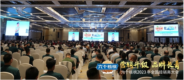 大红鹰dhy(中国)有限公司官网