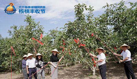 大红鹰dhy(中国)有限公司官网