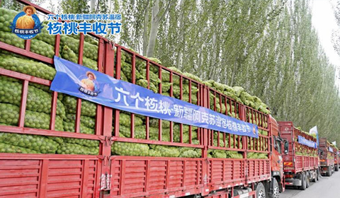 大红鹰dhy(中国)有限公司官网