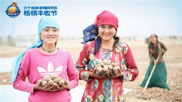 大红鹰dhy(中国)有限公司官网