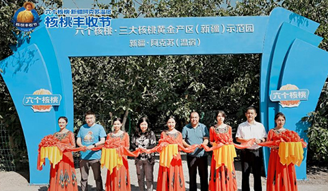 大红鹰dhy(中国)有限公司官网