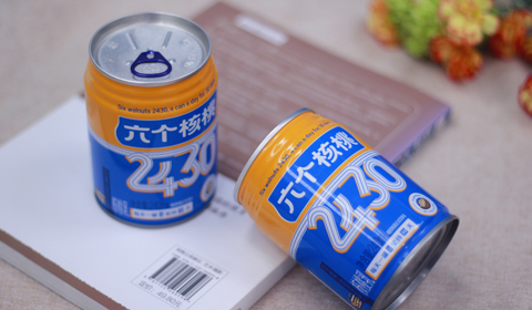 大红鹰dhy(中国)有限公司官网