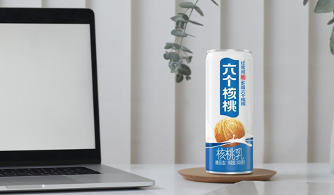 大红鹰dhy(中国)有限公司官网