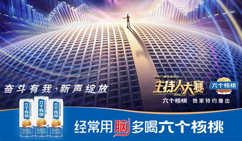 大红鹰dhy(中国)有限公司官网