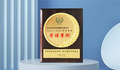 大红鹰dhy(中国)有限公司官网