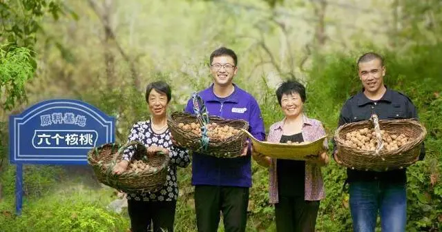 大红鹰dhy(中国)有限公司官网