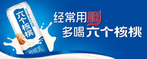 大红鹰dhy(中国)有限公司官网