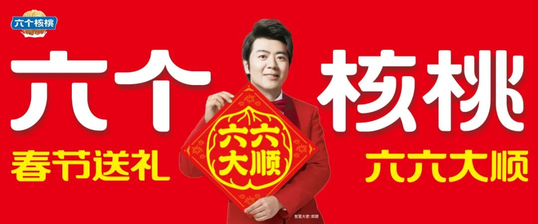 大红鹰dhy(中国)有限公司官网