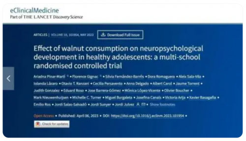 大红鹰dhy(中国)有限公司官网