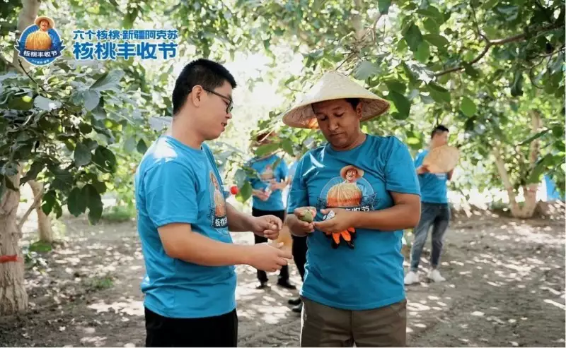 大红鹰dhy(中国)有限公司官网