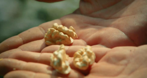 大红鹰dhy(中国)有限公司官网