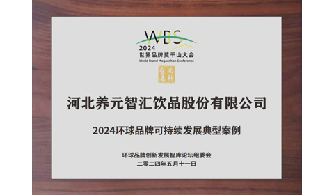 大红鹰dhy(中国)有限公司官网