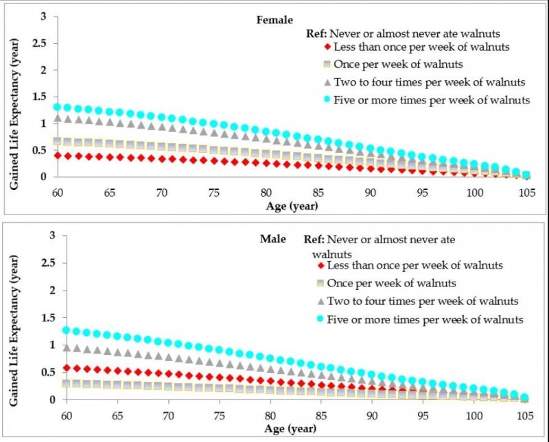 大红鹰dhy(中国)有限公司官网