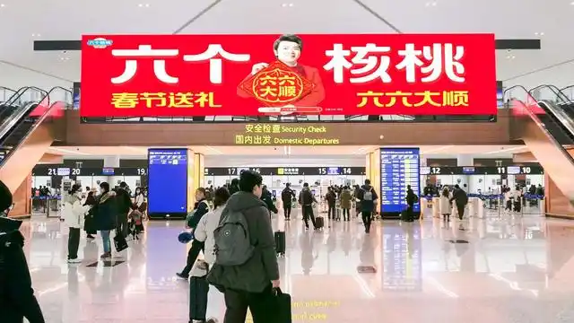 大红鹰dhy(中国)有限公司官网