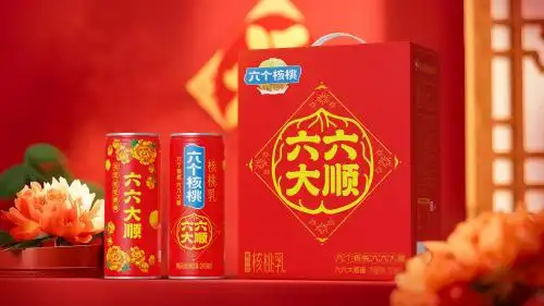 大红鹰dhy(中国)有限公司官网