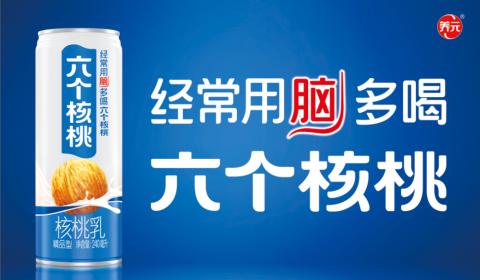 大红鹰dhy(中国)有限公司官网