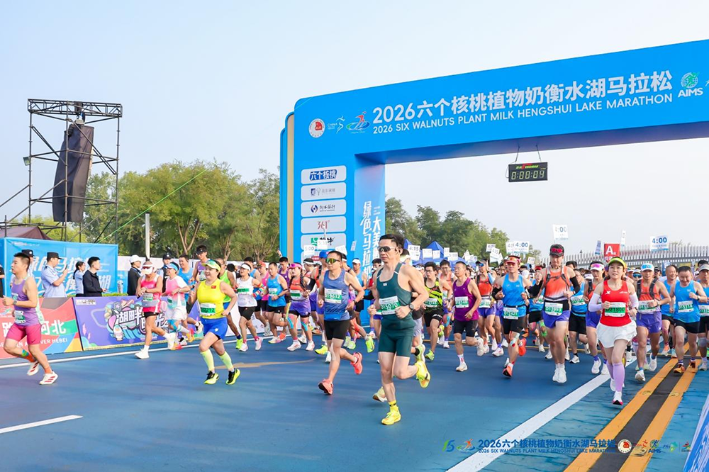大红鹰dhy(中国)有限公司官网