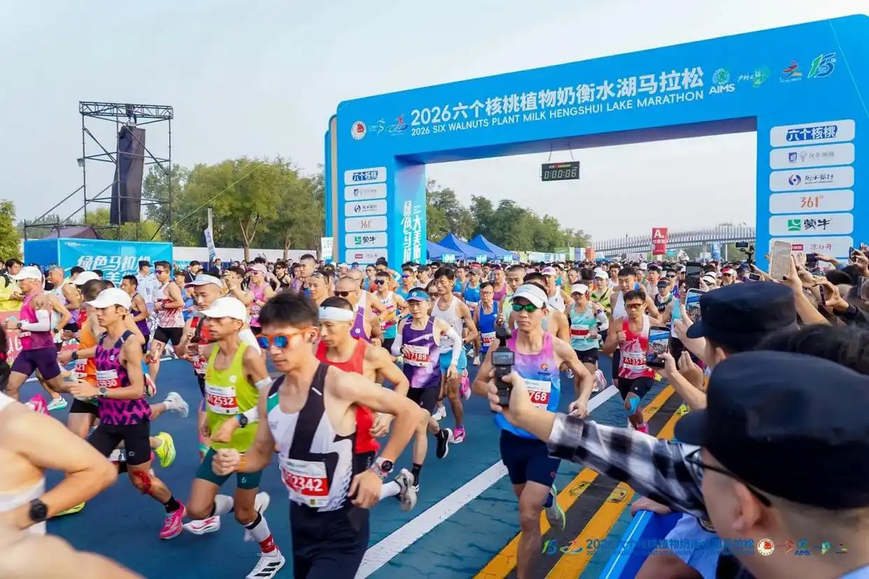 大红鹰dhy(中国)有限公司官网